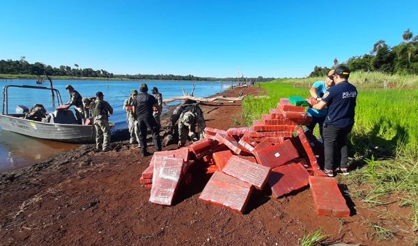 Localizan varios campamentos con alijos de marihuana, a orillas del Lago Itaipú – Diario TNPRESS