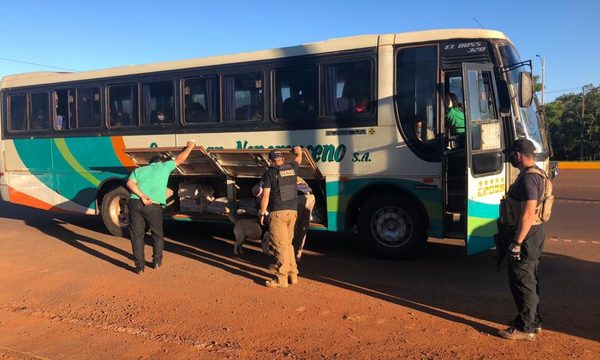 Incautan más de 3 kilos de marihuana En un ómnibus de pasajeros, en km 26 – Diario TNPRESS