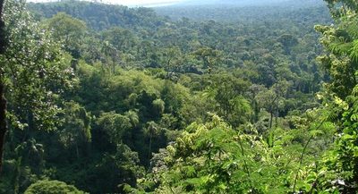 WWF celebra aprobación de Ley de Deforestación Cero