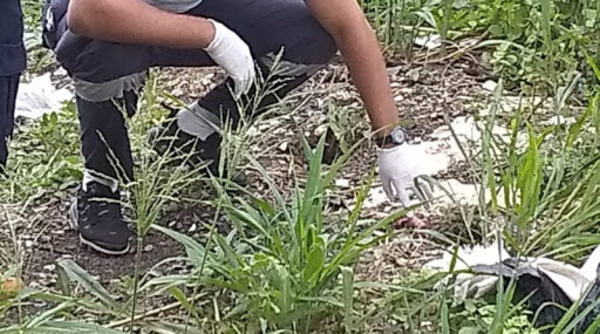 Hallan feto en el barrio Santa Lucía de Coronel Oviedo – Prensa 5