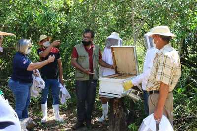 Productores apícolas de Ñeembucú recibieron equipos e implementos para incrementar su producción | .::Agencia IP::.