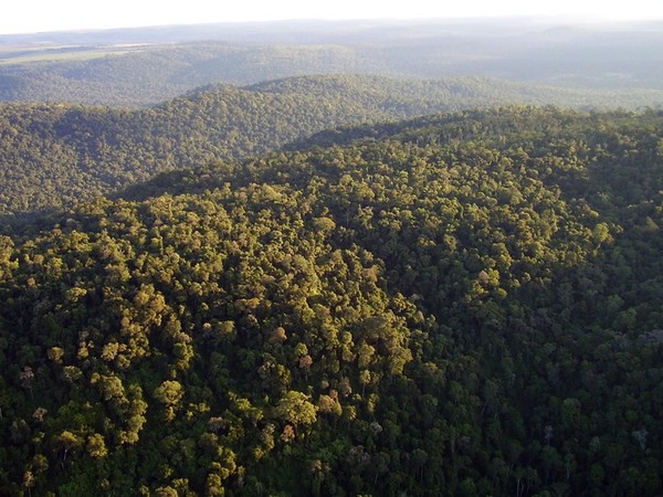 Más de 2.800 hectáreas se suman para ser protegidas bajo el régimen de Servicios Ambientales en Bahía Negra » Ñanduti