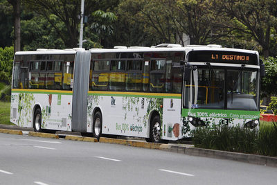 La Alianza Zebra busca incrementar los autobuses eléctricos en América Latina - MarketData