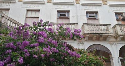 La Nación / El Palacio Patri pide a gritos una importante restauración