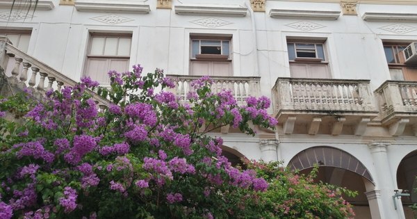 La Nación / El Palacio Patri pide a gritos una importante restauración