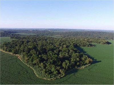 Ejecutivo promulga ampliación de la Ley de Deforestación Cero por diez años más