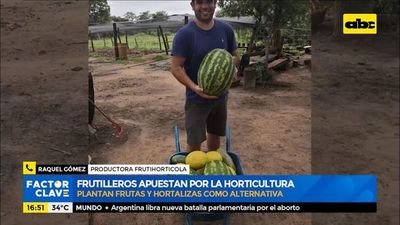 Frutilleros plantan otras frutas y hortalizas como alternativa - Factor Clave - ABC Color