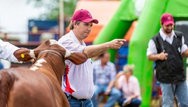 Oliver Ferreiro: “El Braford paraguayo es hoy en día una válida herramienta para la ganadería nacional”