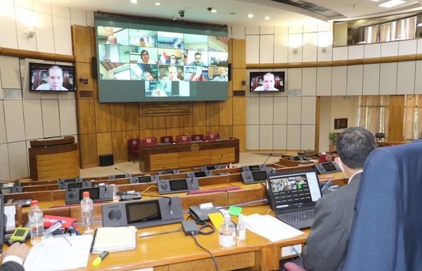 El Senado denuncia blanqueo y deja sin plan de reactivación para Acepar - Nacionales - ABC Color