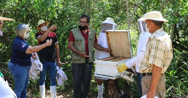 La Nación / Entregan implementos a productores apícolas de Ñeembucú