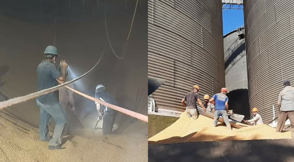 Joven muere tras caer dentro de un silo - Noticiero Paraguay