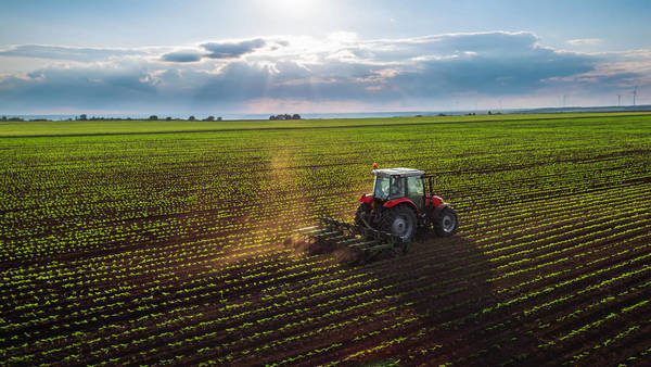 Exportaciones cayeron 11% en el acumulado hasta noviembre