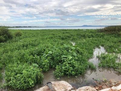 Tras últimas lluvias, el lago Ypacaraí registra un aumento de casi 40 centímetros | .::Agencia IP::.