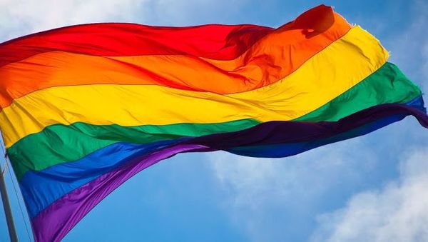 Bolivia reconoce por primera vez unión de una pareja del mismo sexo - Mundo - ABC Color