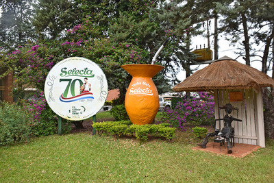 Grupo Selecta Innova con yerba y nuevos rubros
