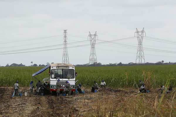 Brasil liderará a medio plazo la producción agrícola mundial, dice exministro - MarketData