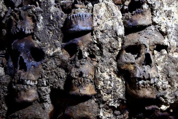 Arqueólogos mexicanos descubren fachada de torre azteca de cráneos humanos