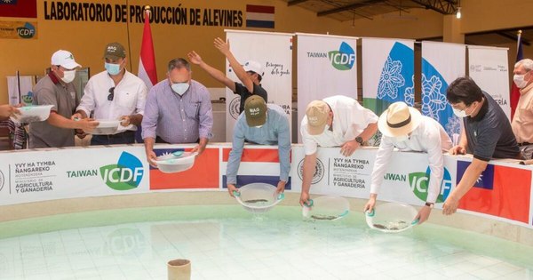 La Nación / Taiwán entregó 15 mil alevines de surubí al país