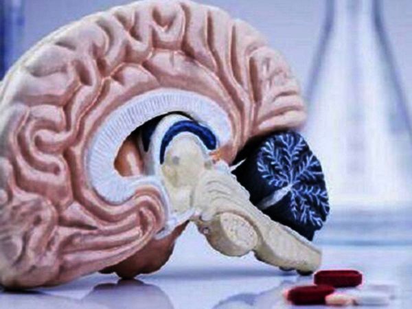 Descubren cómo ingresan los fármacos al cerebro