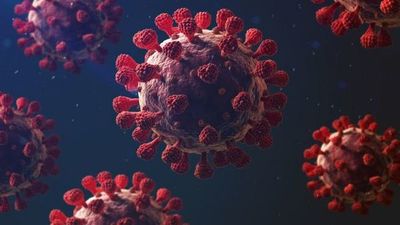 Identifican cinco genes que conducen a un desarrollo grave de COVID-19
