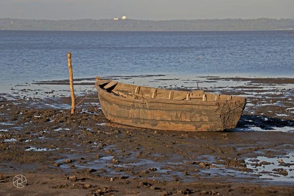 Nivel del lago Ypacaraí en sostenido aumento