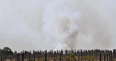 La Nación / Jefe de la ONU pide un “estado de emergencia climática” en apertura de cumbre virtual