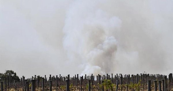 La Nación / Jefe de la ONU pide un “estado de emergencia climática” en apertura de cumbre virtual