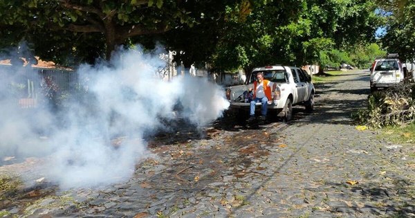 La Nación / Alerta: si ves que fumigan frente a tu casa, es por casos de dengue en el barrio