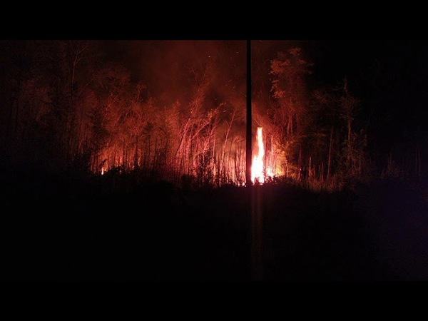 Inconsciencia ciudadana nuevamente causa un gran incendio de Capitán Miranda