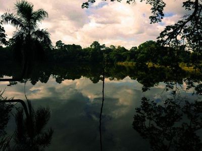 Denuncian expropiación de 5 hectáreas de bosques  en CDE