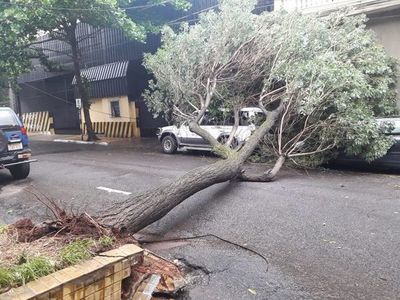 Tarde de tormentas, árboles caídos y cortes de energía eléctrica - Nacionales - ABC Color