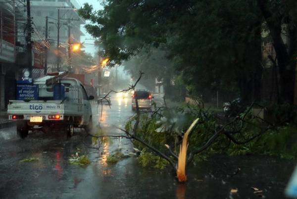 Tormentas, árboles caídos y el usual corte de energía eléctrica - ADN Digital