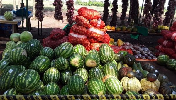 La fruta estrella del verano: producción de sandía bate récord en San Pedro del Paraná (algunas pesan casi 30 kilos)