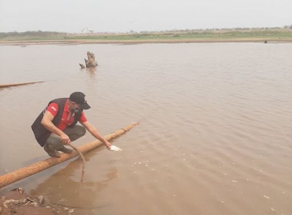 Río Paraguay vuelve a subir tras días de descenso