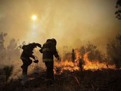 Incendios, sequías y huracanes, la destrucción que escondió el Covid