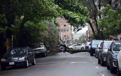 Cortes de energía: restablecen 55 alimentadores caídos y quedan 140 reclamos puntuales por resolver - Nacionales - ABC Color