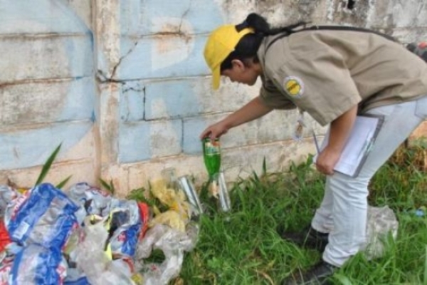 ¡Atención! A eliminar criaderos de mosquitos para prevenir el aumento de casos de dengue » Ñanduti