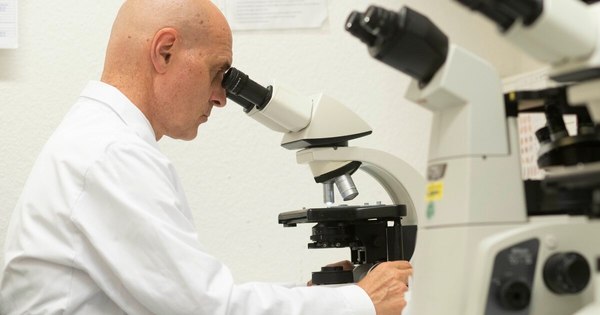 La Nación / Última etapa de ensayos clínicos de la vacuna de Curevac
