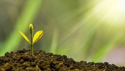 Economía verde: ¿de qué trata realmente y cómo jugará un aspecto clave en el futuro?