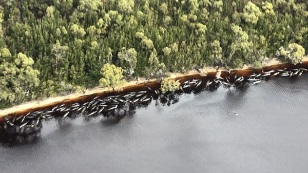 La ONU da un giro a su ránking de desarrollo al incluir el impacto ambiental  - Mundo - ABC Color