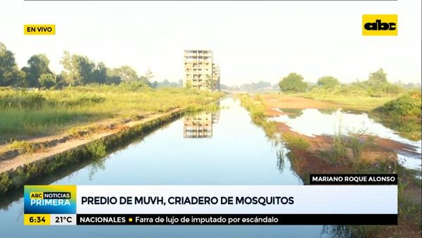 Predio del MUVH en Roque Alonso, criadero de mosquitos - ABC Noticias - ABC Color