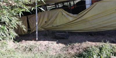 Hombre murió electrocutado en Coronel Oviedo – Prensa 5