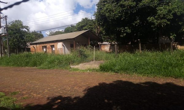 Yuyal en terreno molesta a vecinos