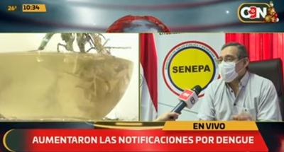 Lluvias y calor provocan invasión de mosquitos e insisten en eliminar criaderos