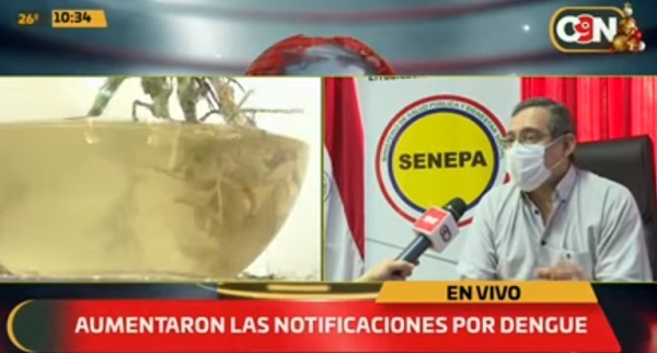 Lluvias y calor provocan invasión de mosquitos e insisten en eliminar criaderos
