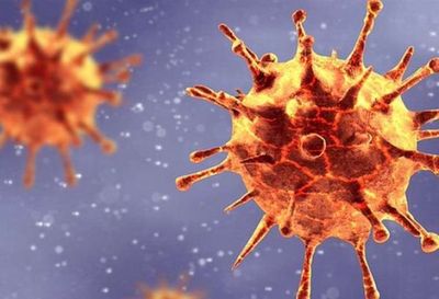Mutación del coronavirus: qué tan preocupante es la aparición de una nueva cepa como la recientemente detectada en Reino Unido