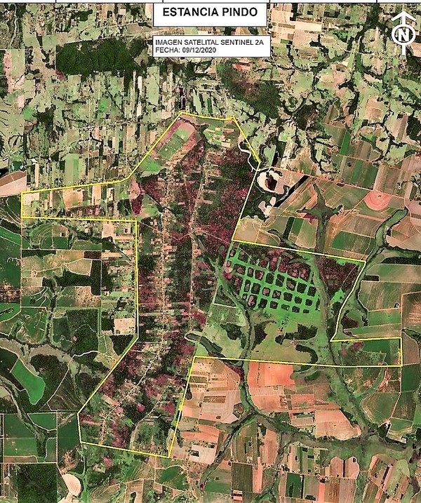 Gremios productivos denuncian “terrible deforestación” ignorada por políticos y ambientalistas en Pindó - La Mira Digital