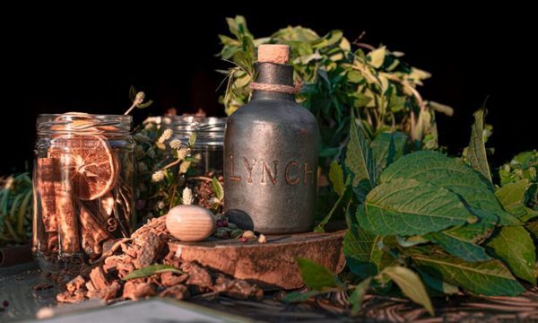 “Lynch” una fusión entre el gin y la botánica guaraní
