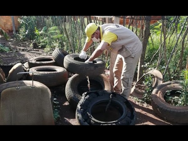 TEMEN REBROTE DE CASOS DE DENGUE EN ENCARNACIÓN