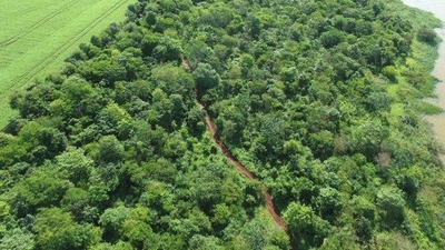 HOY / Infona repudia intento de expropiación de últimos remanentes del Bosque Atlántico del Alto Paraná